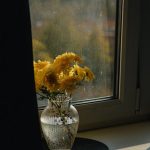 Купить кондиционер QUATTROCLIMA в Москве - где найти и выбрать оригинальный кондиционер image_250.jpg